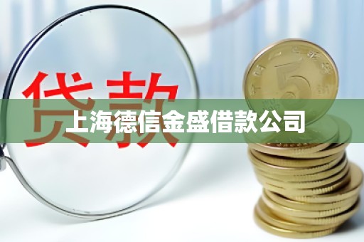  上海德信金盛借款公司