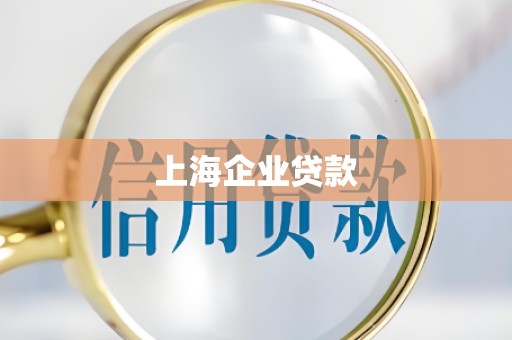 上海企业贷款 上海企业贷款